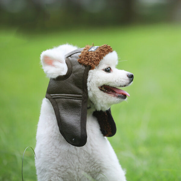 Dog Winter Helmet