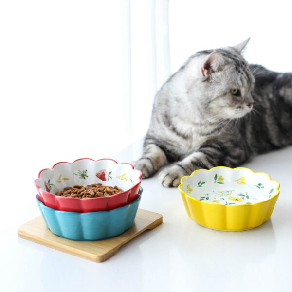 Ceramic Pet  Bowl