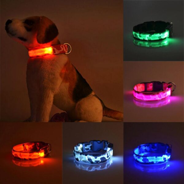 Luminous Dog Collar