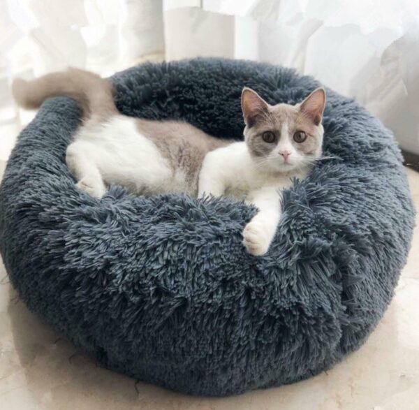 Soft Pet Beds