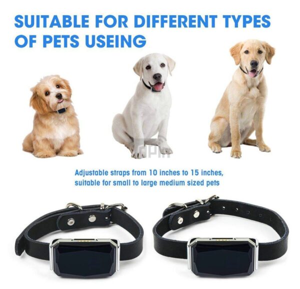 Waterproof Tracking Collar