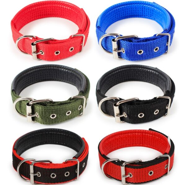 Nylon Dog Collar