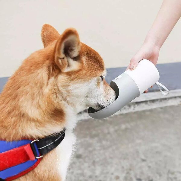 Travelling Pet Water Bottle